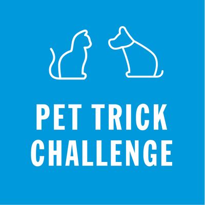 Pet trick challenge