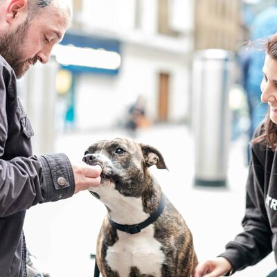 Battersea and StreetVet: Partnering to help more pets in need