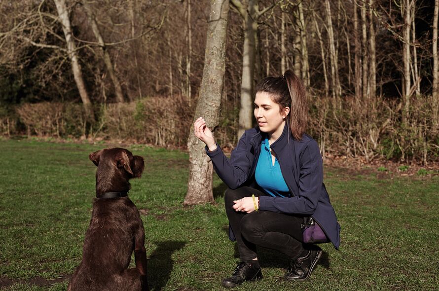 Battersea staff member kneels down in a park holding a treat in front of brown dog sitting