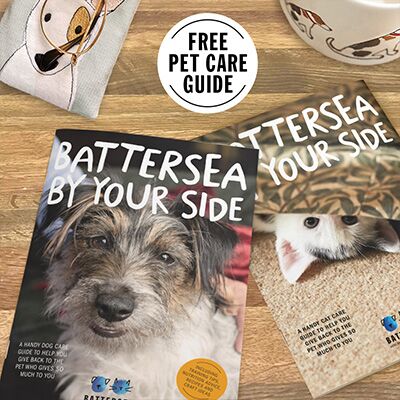 Make yourself at home | Battersea Dogs & Cats Home