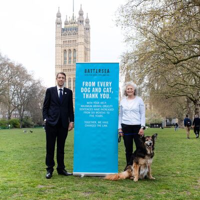 How Battersea changed the law on animal cruelty