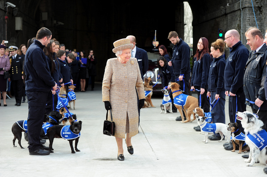 does battersea dogs home put animals to sleep