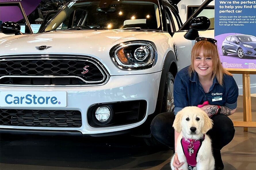 are dogs allowed in the auto show