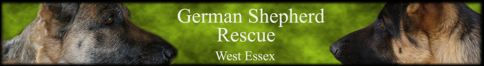 German Shepherd Rescue West Essex Logo
