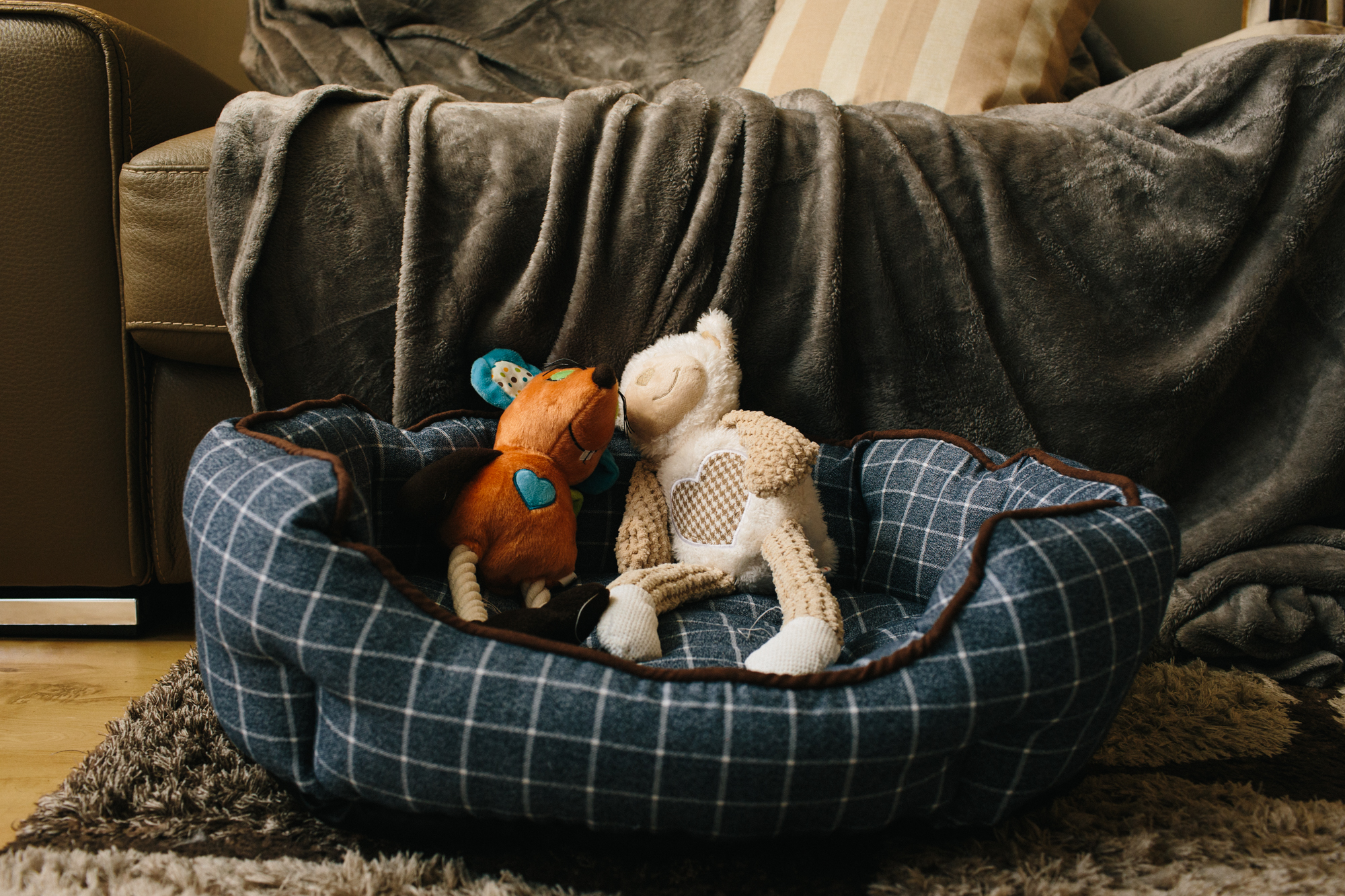 Battersea plush bed and pet toys