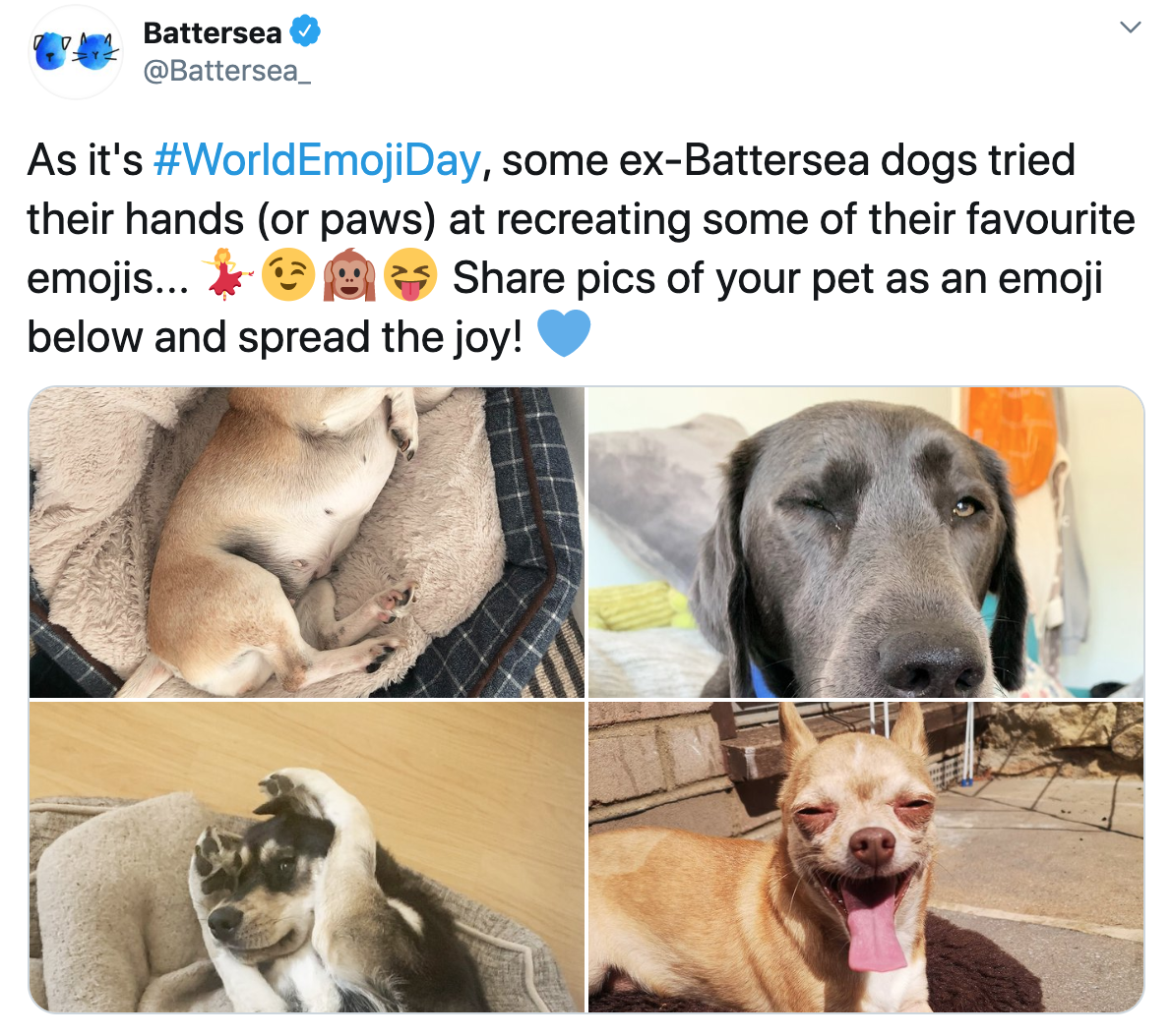 Four Battersea Dogs pulling emoji-expressions