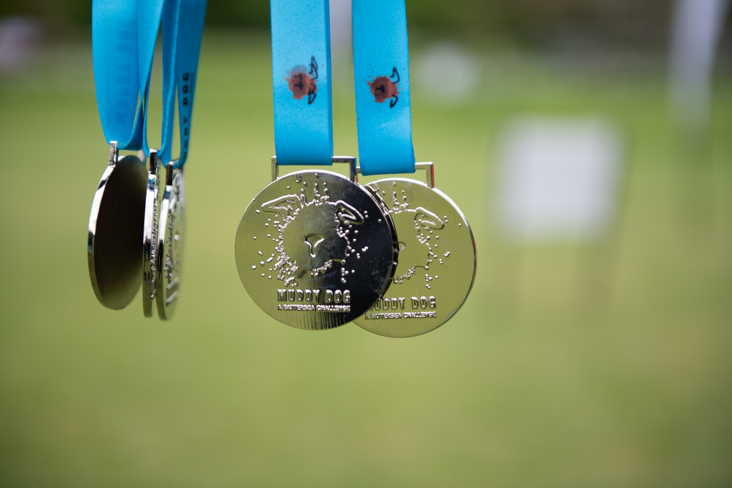 Earn a finisher's medal for you and a rosette for your four-legged friend