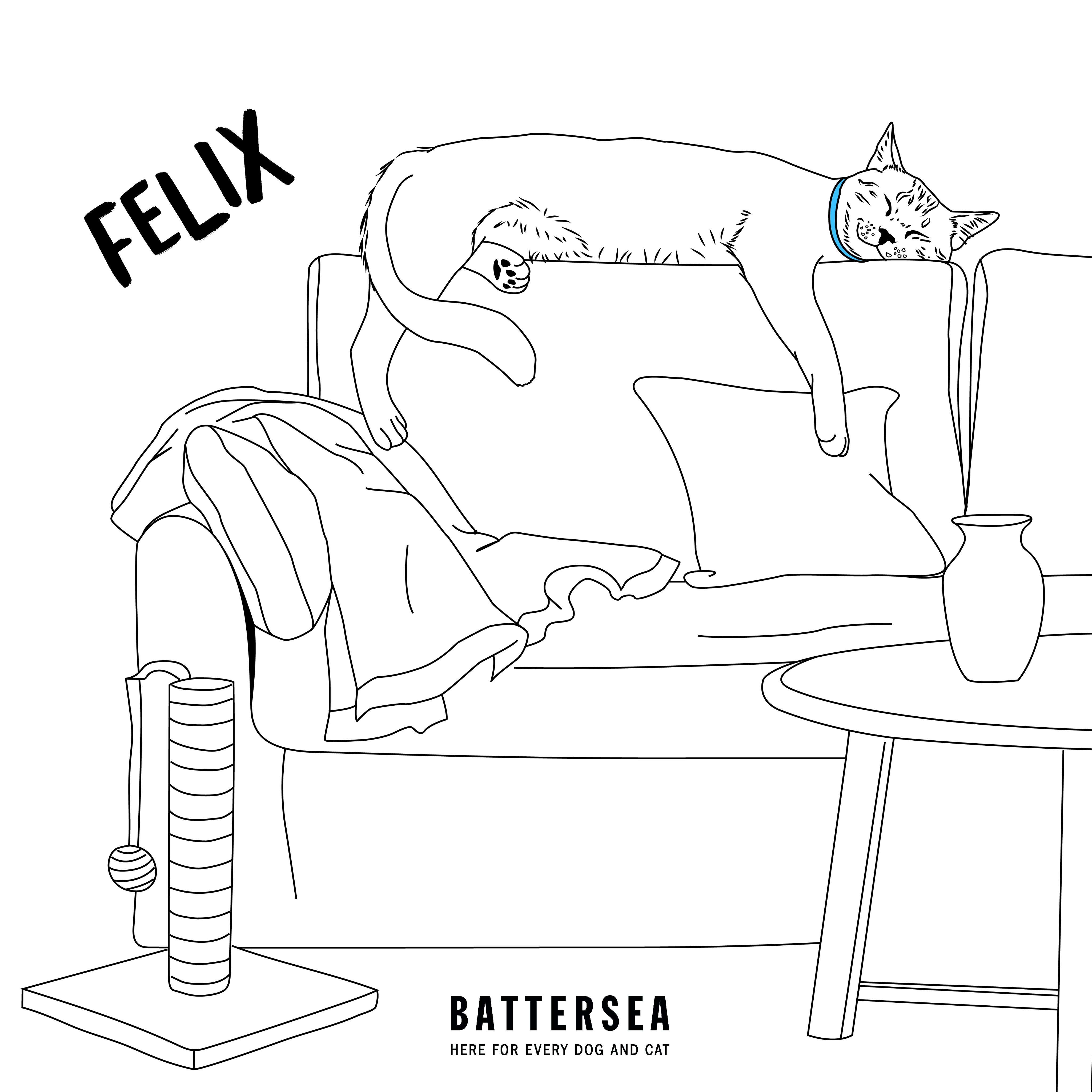 Felix colouring sheet