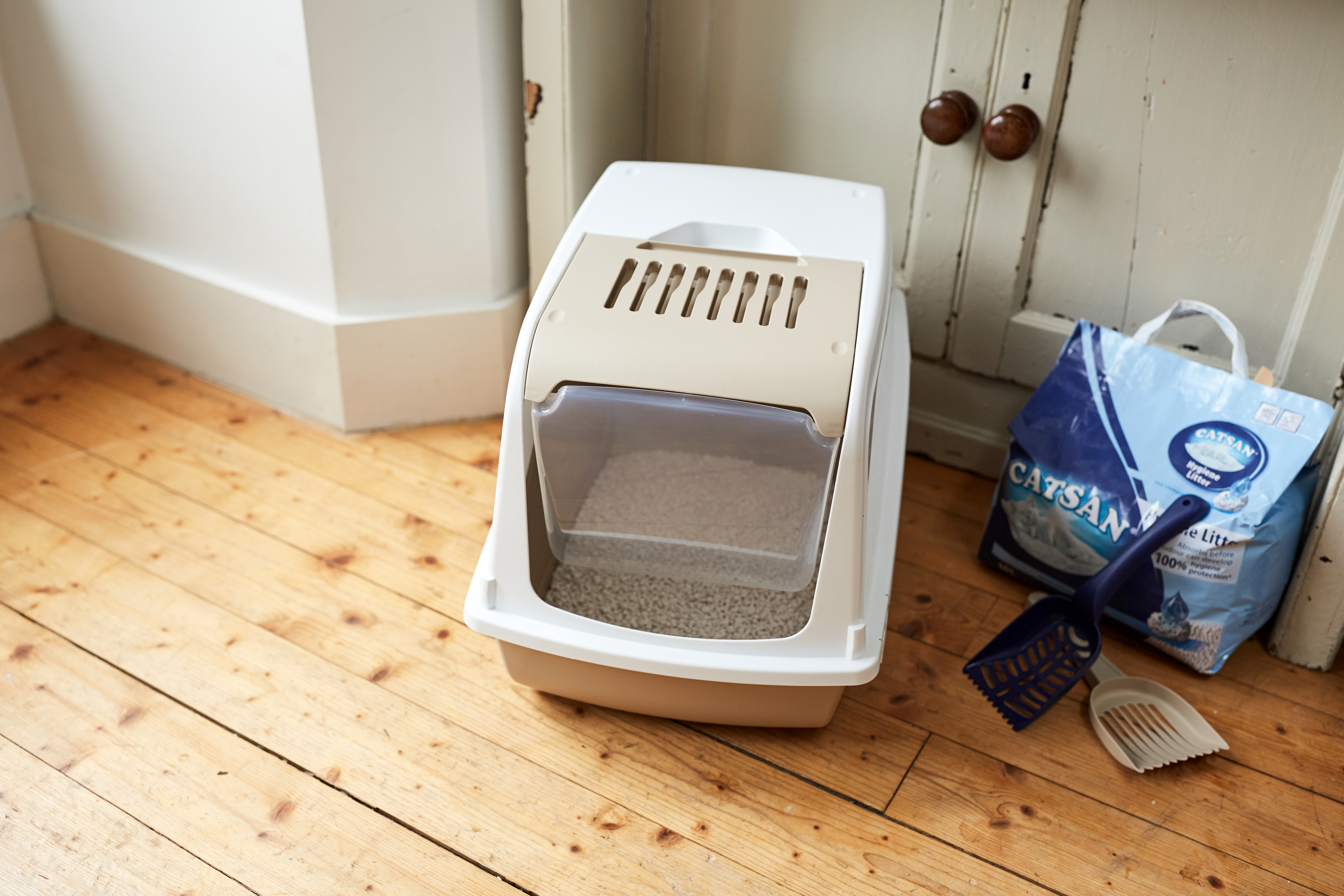 Covered litter trays are popular with owners