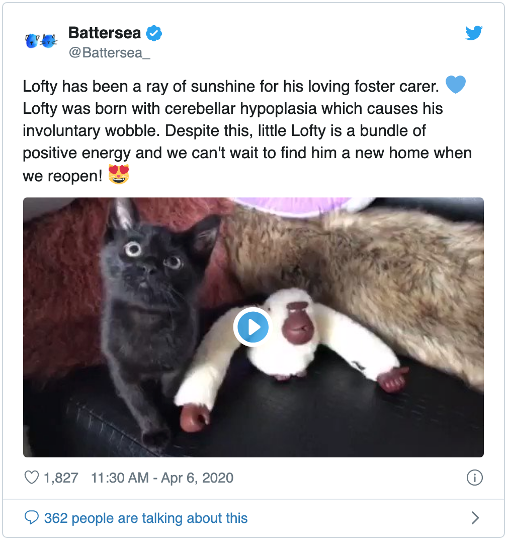 View Battersea's tweet about Lofty