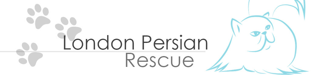 Barbara Black Persian Rescue Logo