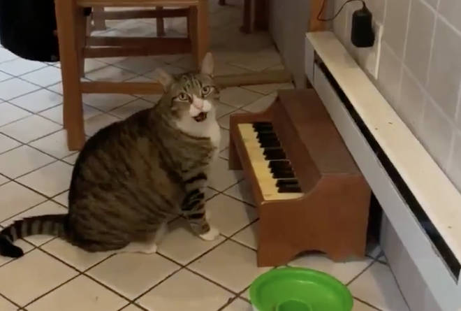 Winslow at his tiny piano