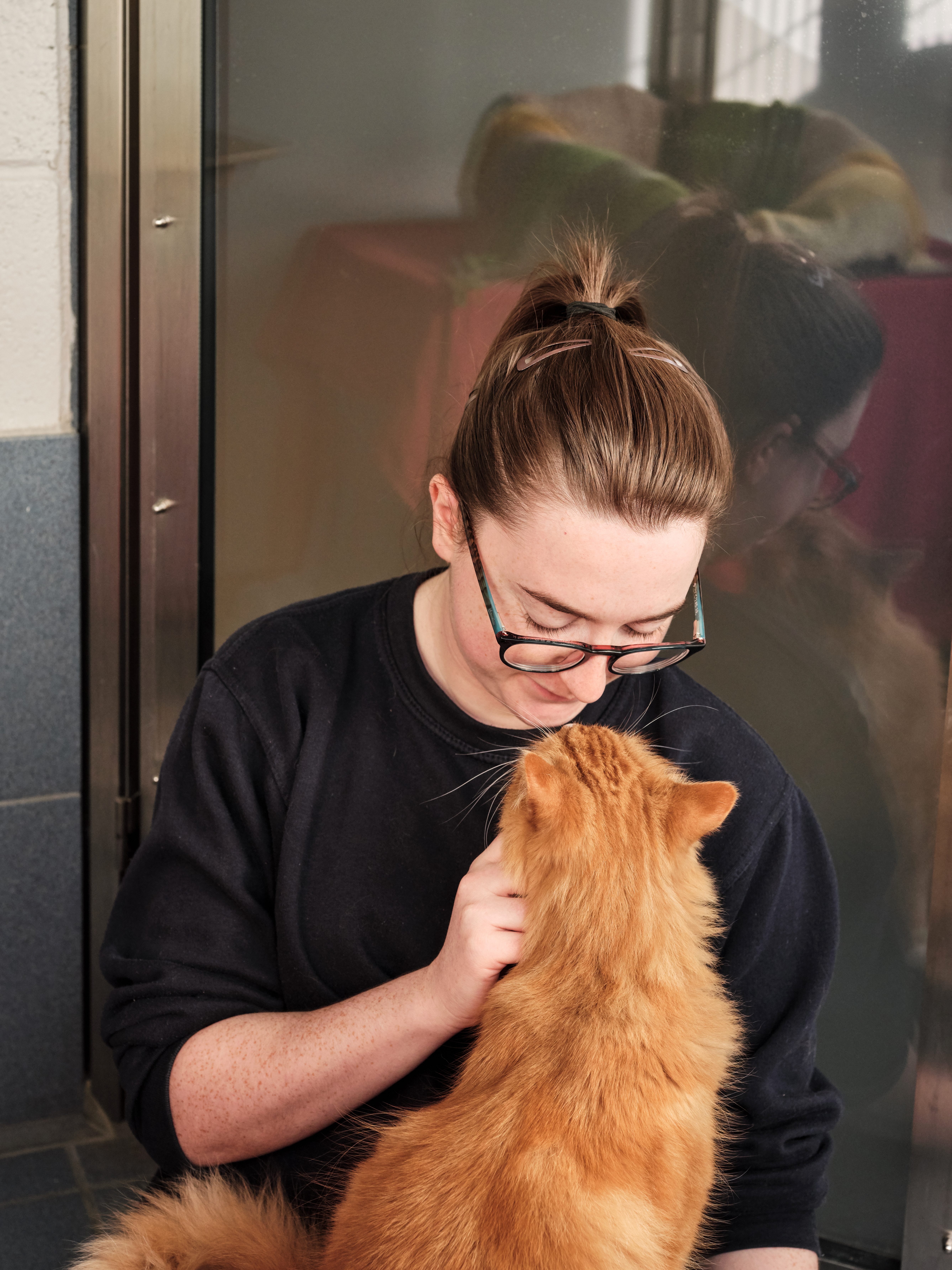 Cat interacting with member of staff