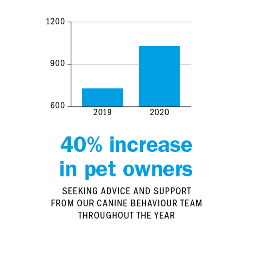 40% increase pet owners seeking advice and support from our canine behaviour team throughout the year