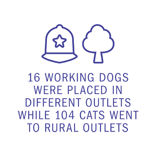 16 WORKING DOGS WERE PLACED IN DIFFERENT OUTLETS WHILE 104 CATS WENT TO RURAL OUTLETS