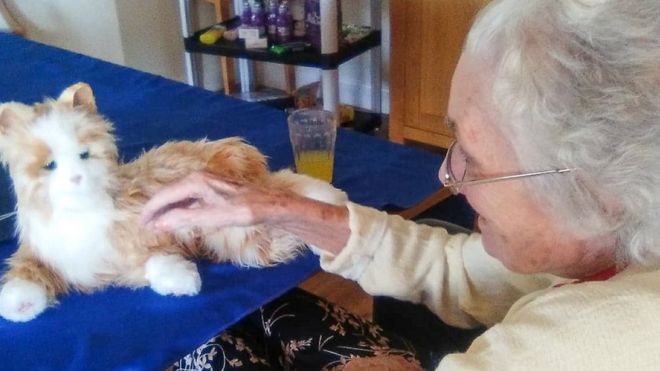 Robot cat sitting with care home resident