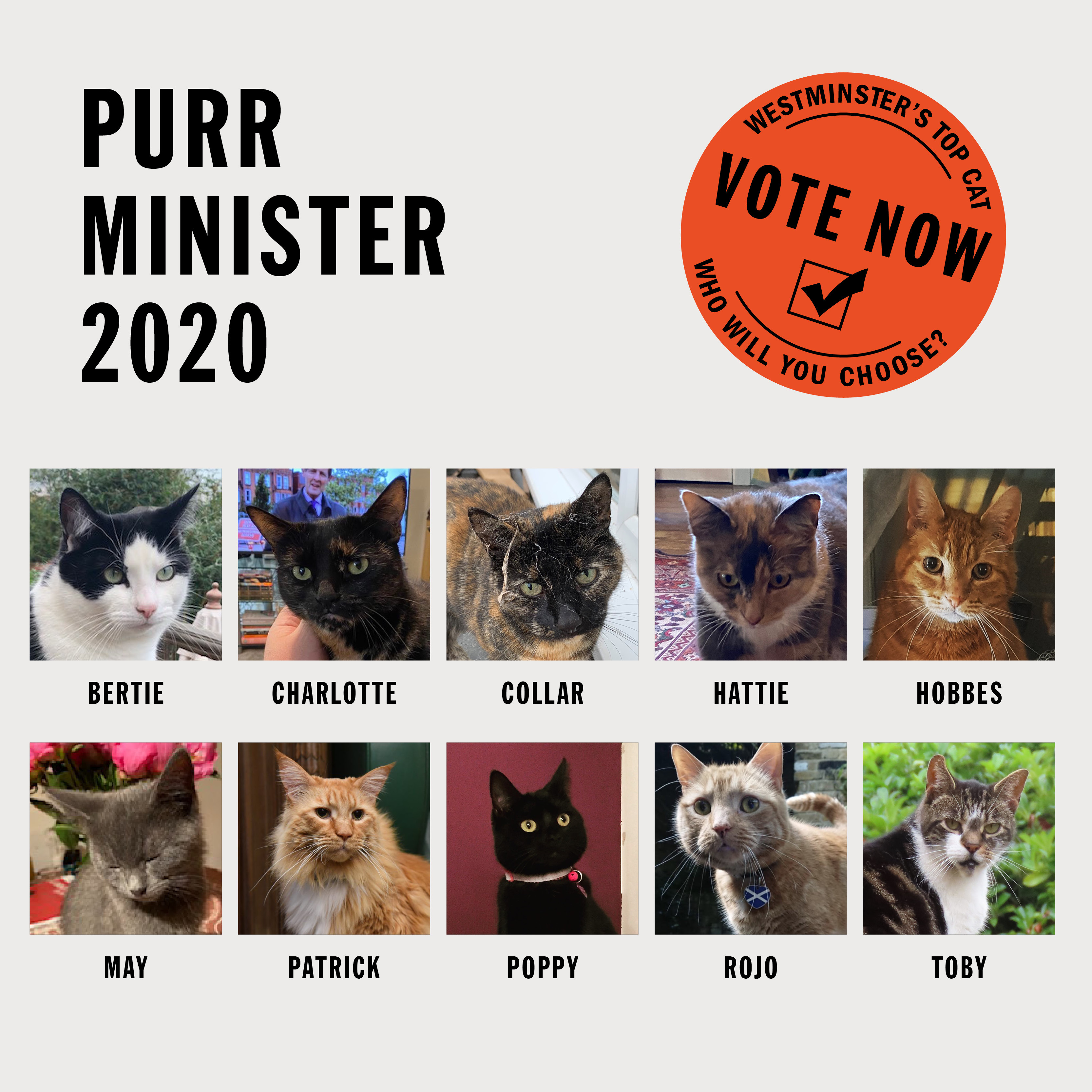 Pictures of the Paw-minister candidates